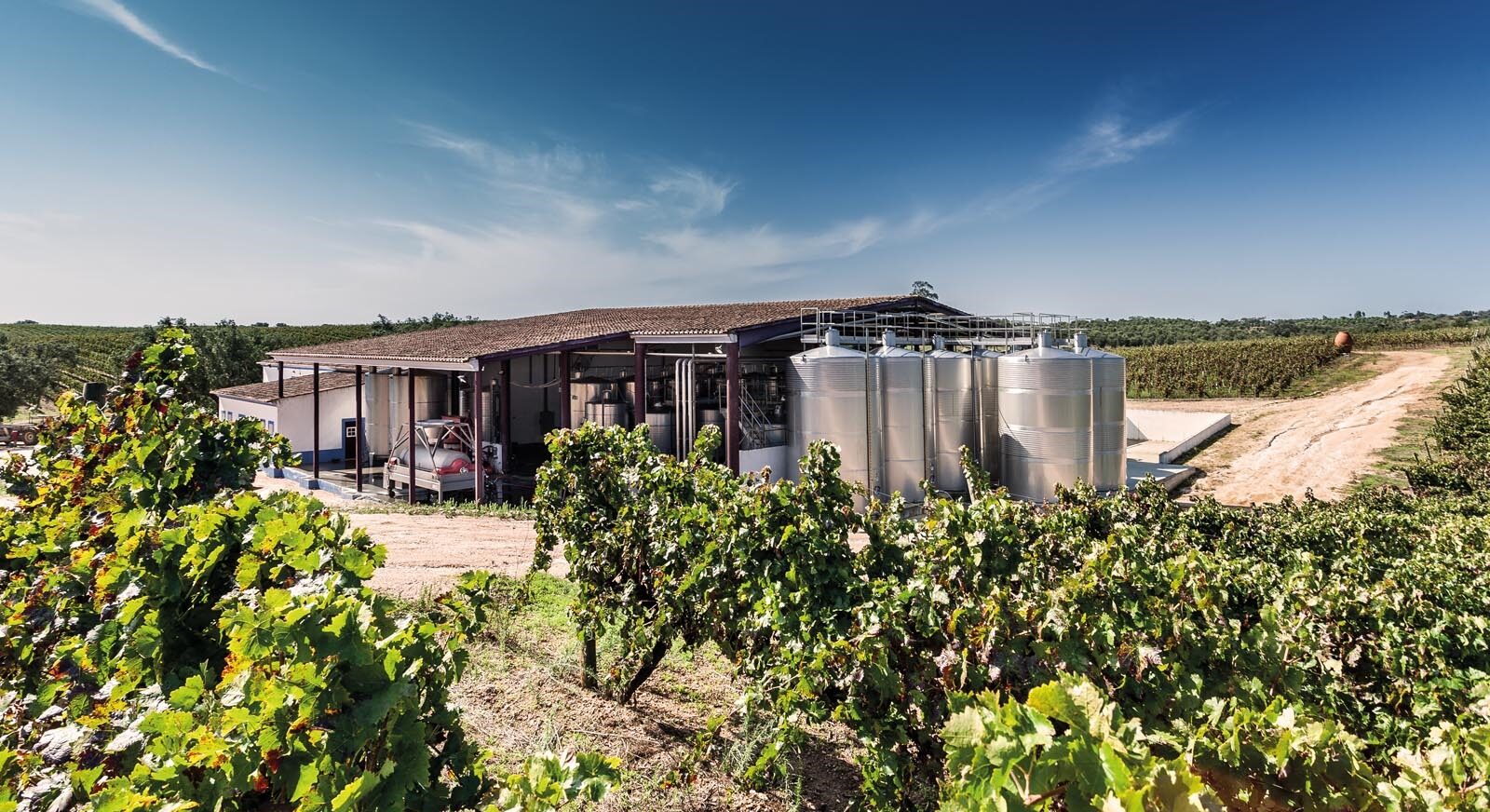 Special Harvest Program – From August 31st to September 20th