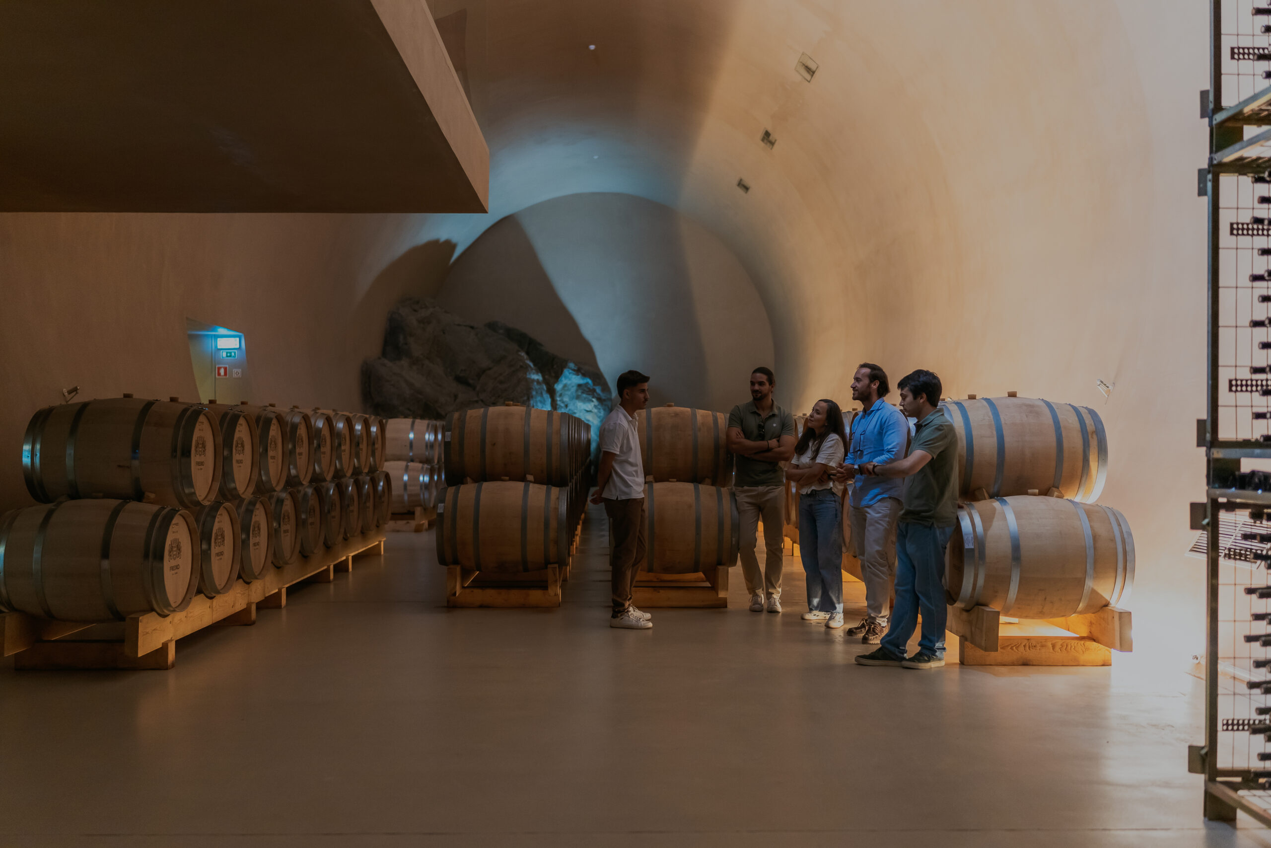 Full-Day Wine Tour