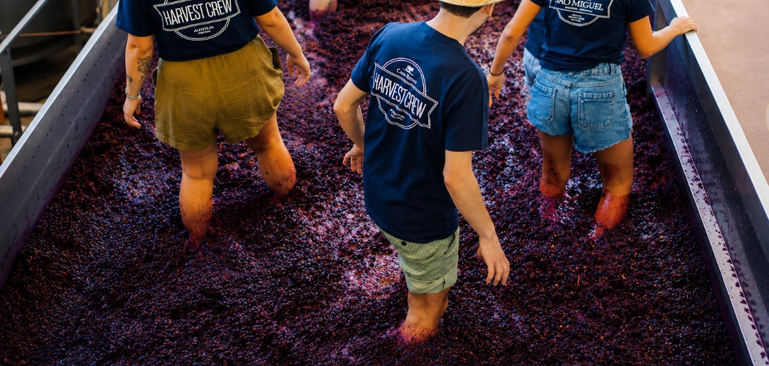 Special Harvest Program – From August 31st to September 21tst