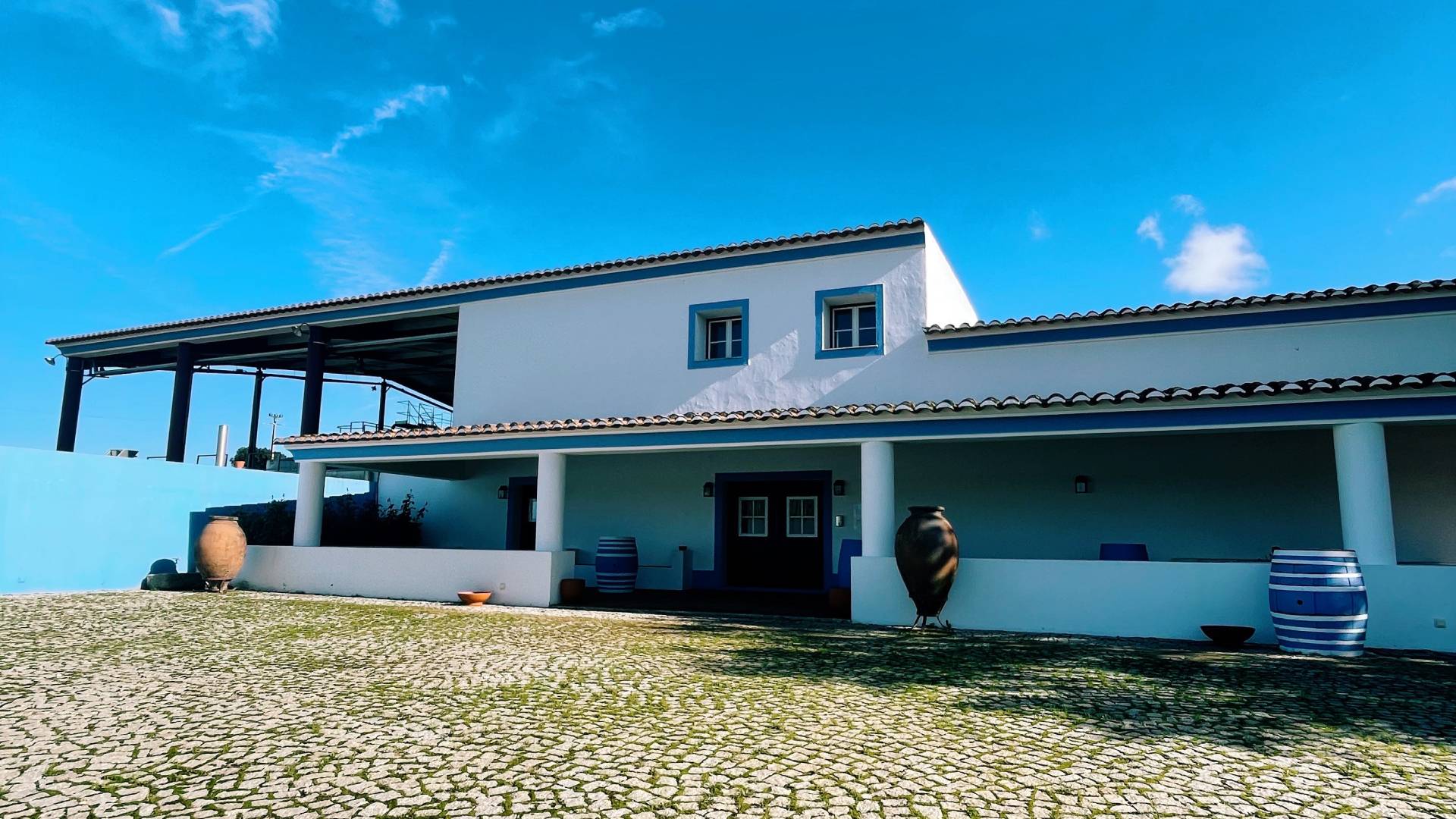 Vinho_Azeite_galeria_4