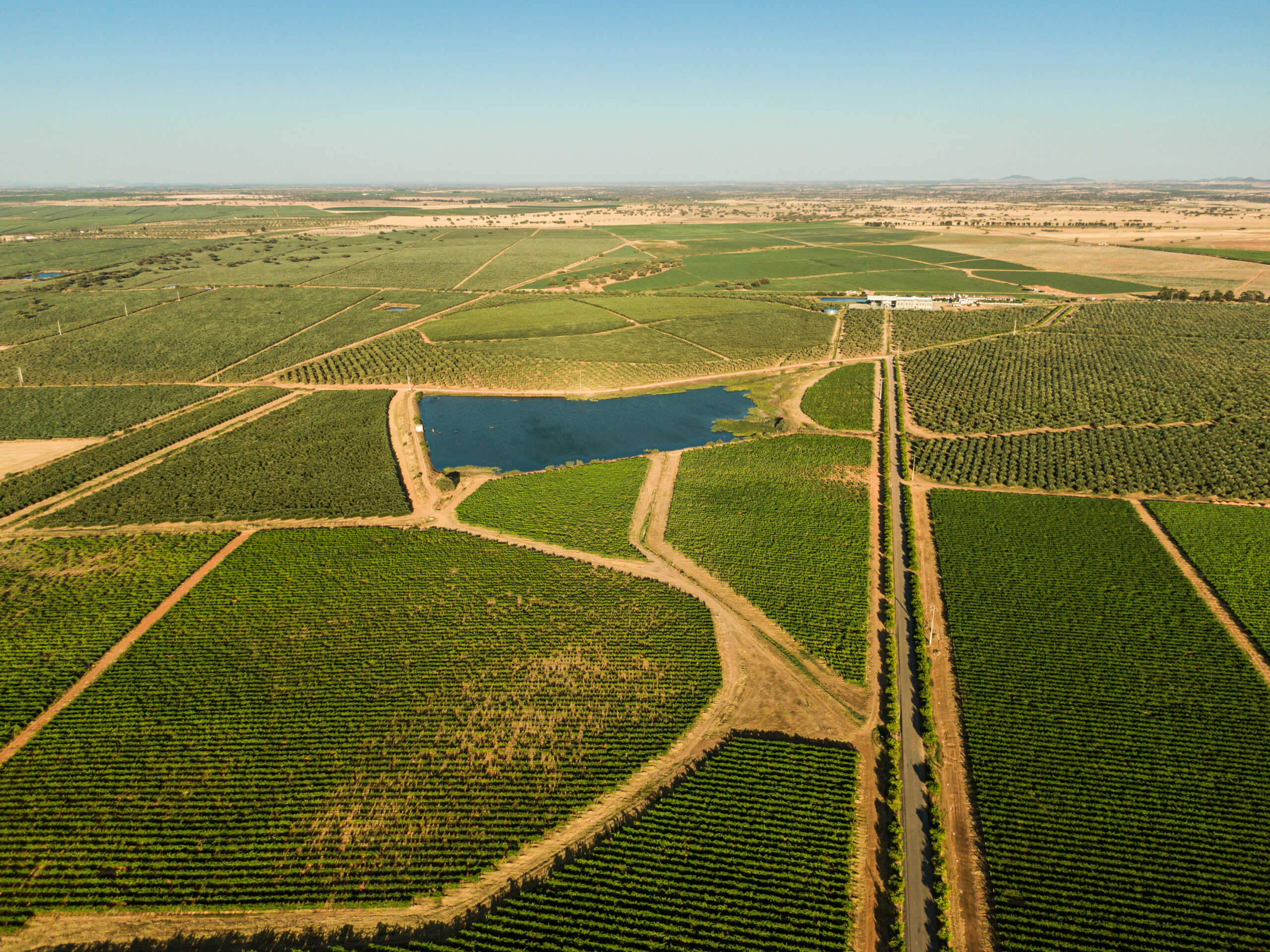 DJI_0091